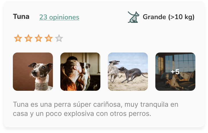 pase cuando y donde quieras